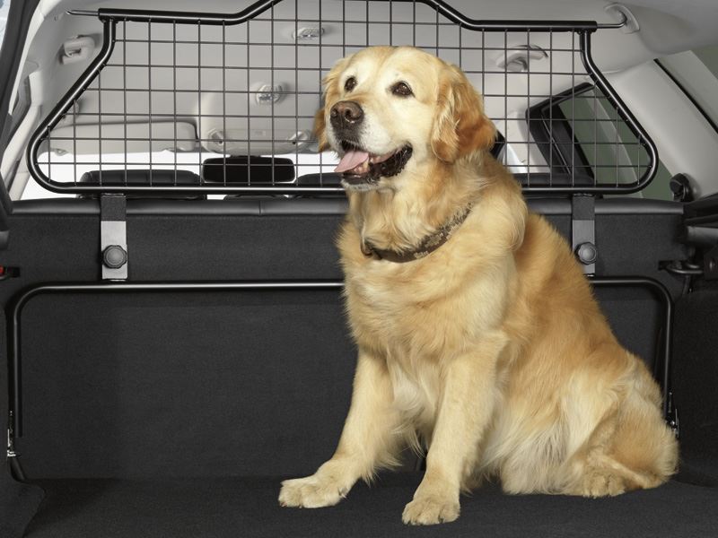 Ford focus hotsell estate dog guard