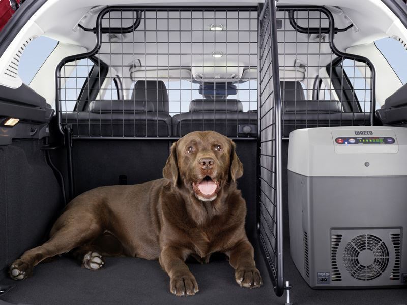 Genuine Ford Focus Estate 10 2014 Dog Guard Upper Half Height 1 Sandicliffe Shop